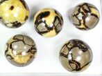 Lot: Septarian Spheres - - Pieces #78049-2
